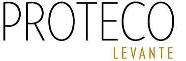 logo leticiainter
